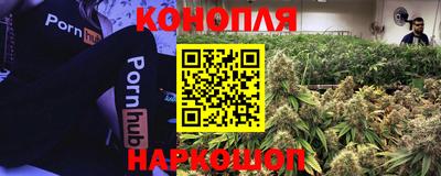 шишки Каменск-Шахтинский