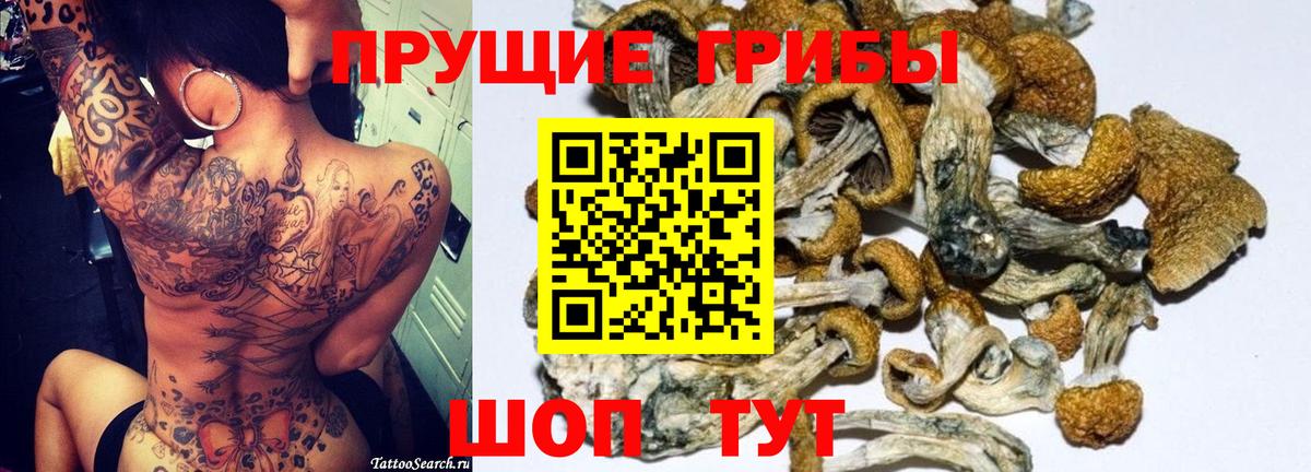 Галлюциногенные грибы прущие грибы Северск