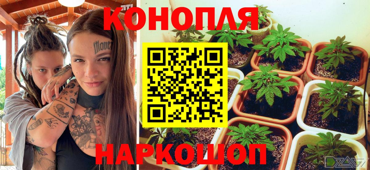 Каннабис THC 21%  Вход с VPN  Северск  Бошки марихуана ГИДРОПОН  Конопля тримм 